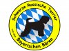 von den Bayerischen Bären