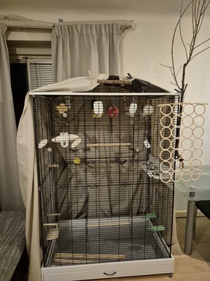 XXL Vogelkäfig mit kleinen Transportkäfig und aufbauanleitung