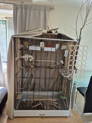 XXL Vogelkäfig mit kleinen Transportkäfig und aufbauanleitung